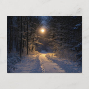 Mondbeschienener Schneewaldweg Winterlandschaft Re Feiertagspostkarte
