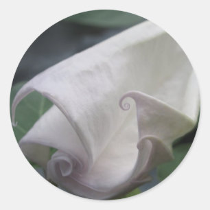 Mondblume Runder Aufkleber