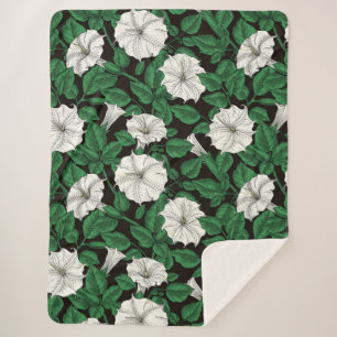 Mondblumen 2 sherpadecke