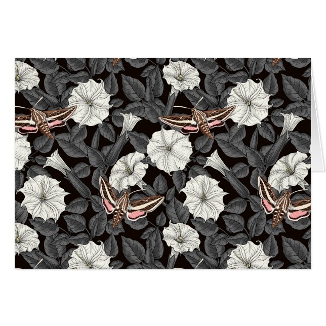 Mondblumen und Sphinx 2 (Vorderseite (Horizontal))