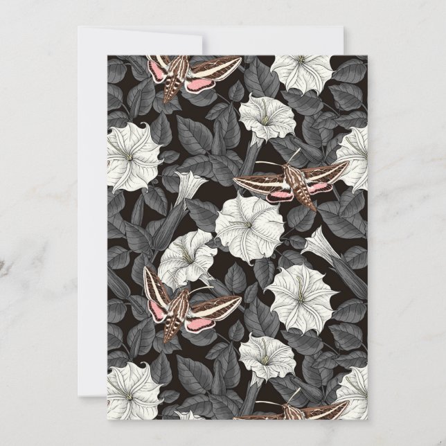 Mondblumen und Sphinx 2 (Vorderseite)