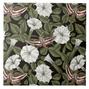 Mondblumen und Sphinxmotten Fliese