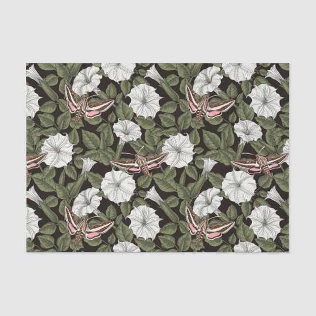 Mondblumen und Sphinxmotten Seidenpapier (Vorderseite)