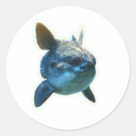 Mondfisch (Mola Mola) Aufkleber - Bali