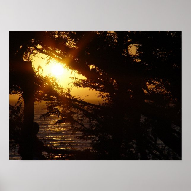 Mondlicht am Strand von Moonstone Poster (Vorne)