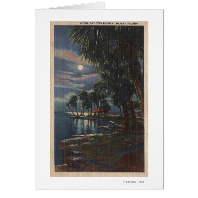 Mondlicht auf einem Florida Beach Florida (Vorne)