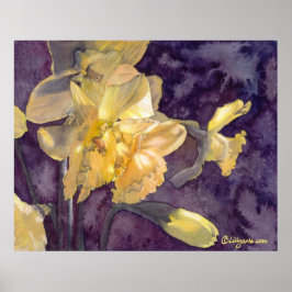 Mondlicht-Daffodien Aquarellfarben-Poster drucken Poster