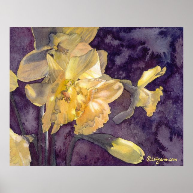 Mondlicht-Daffodien Aquarellfarben-Poster drucken Poster (Vorne)