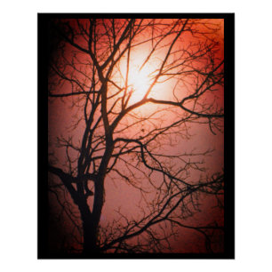 Mondlicht Poster