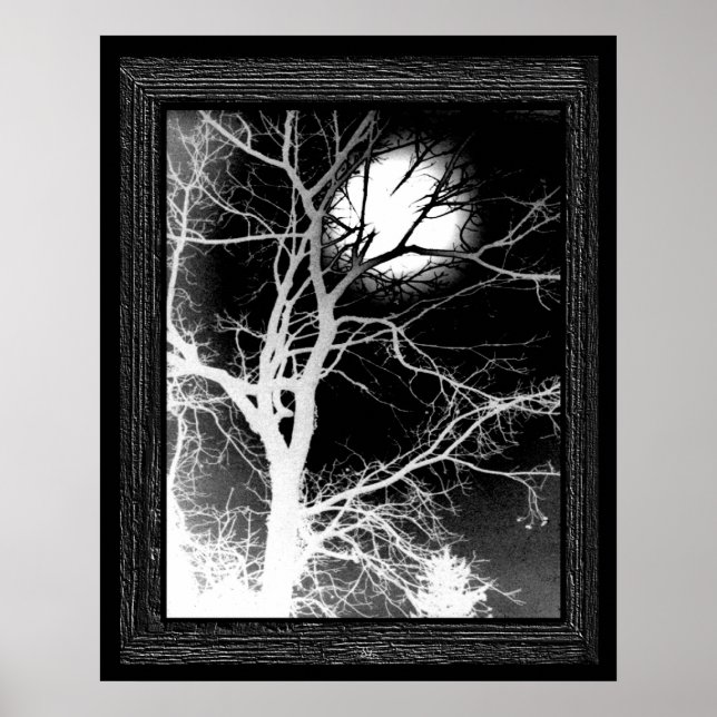 Mondlicht Poster (Vorne)