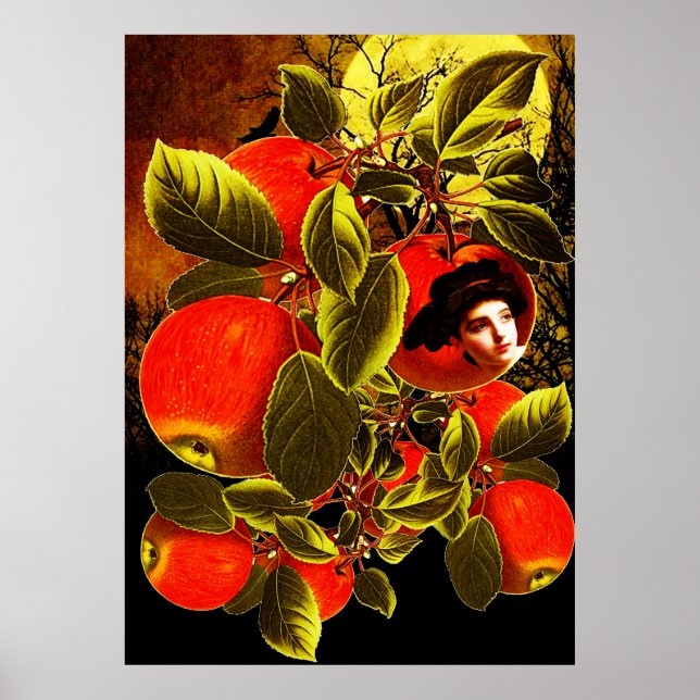 Mondlicht Poster (Vorne)