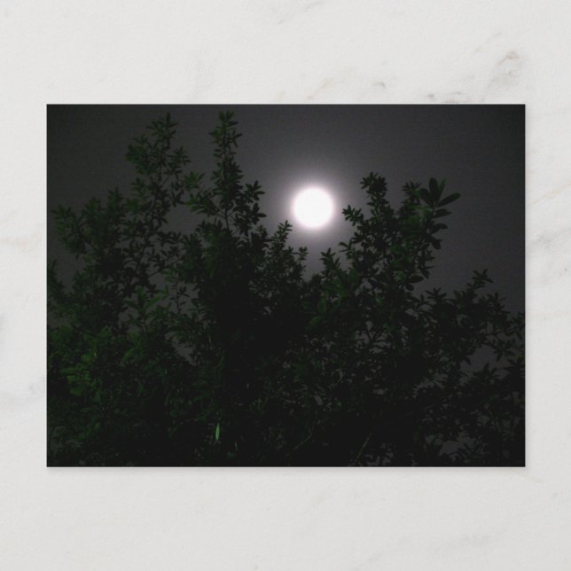 Mondlicht Postkarte (Vorderseite)
