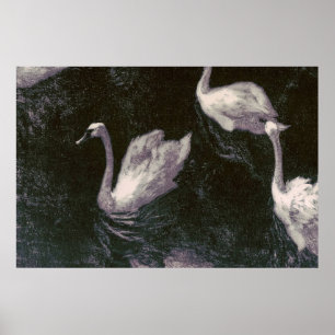 Mondlicht-Schwanensee Poster