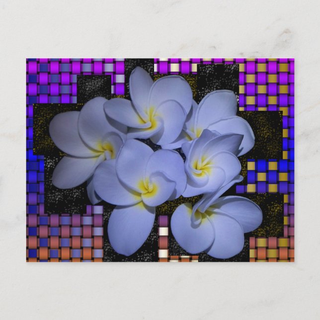Mondlicht Stardus Plumeria Weave Postkarte (Vorderseite)