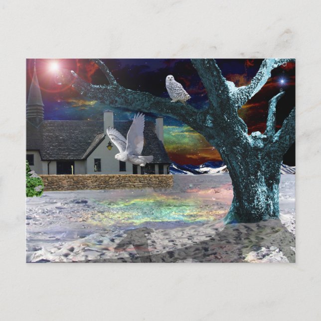 Mondlichtschatten.. Postkarte (Vorderseite)