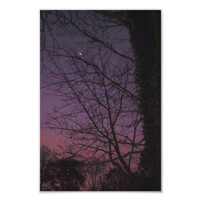 Mondmorgens Fotodruck (Vorne)