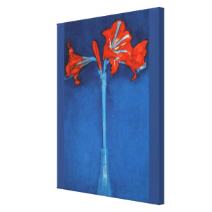 Amaryllis Kunst Poster Zazzle At