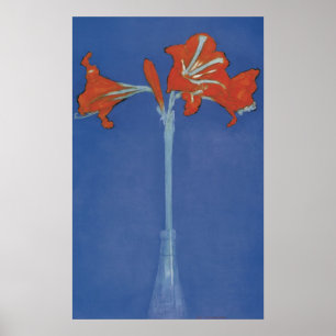 Mondrian Amaryllis in Flash Poster