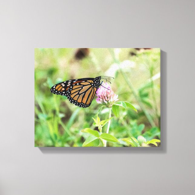 Mondschmetterling Leinwanddruck (Vorderseite)