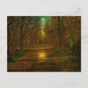 Mondspaziergang Lynchburg Städtische Parcours Postkarte