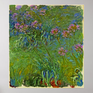 Monet - Agapanthus-Blumen 1917 Poster