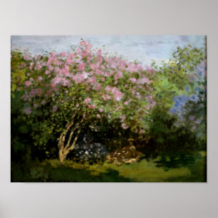 Monet - Lilacs in der Sonne Poster