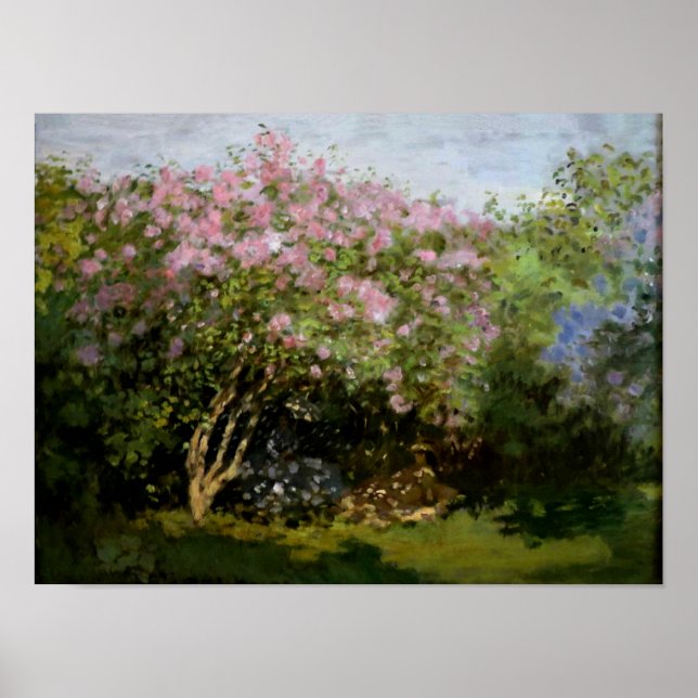 Monet - Lilacs in der Sonne Poster (Vorne)
