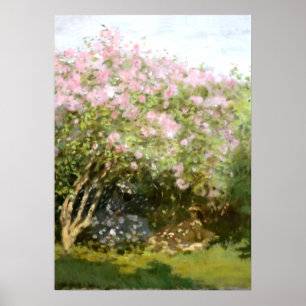 Monet - Lilacs in der Sonne Poster