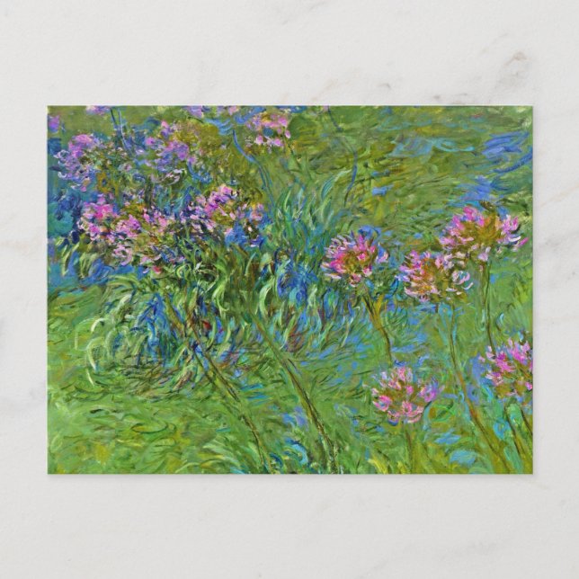 Monets Agapanthus-Blume Postkarte (Vorderseite)