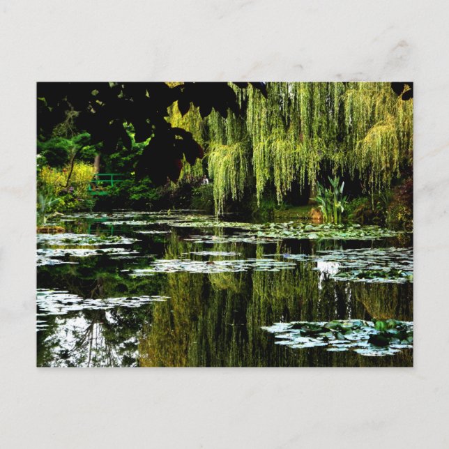 Monets Lily Pond with Willows, Giverny, Frankreich Postkarte (Vorderseite)
