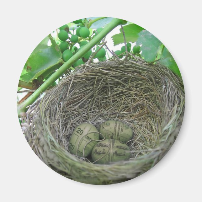 Money Nest Eggs Magnet (Vorne)