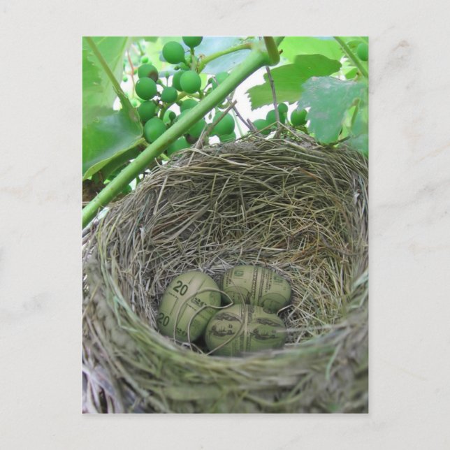 Money Nest Eggs Postkarte (Vorderseite)