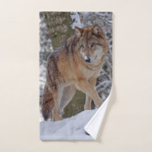 Mongolischer Alphawolf im Schnee