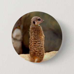 Mongoose10 Button