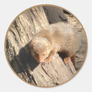 Mongoose Runder Aufkleber