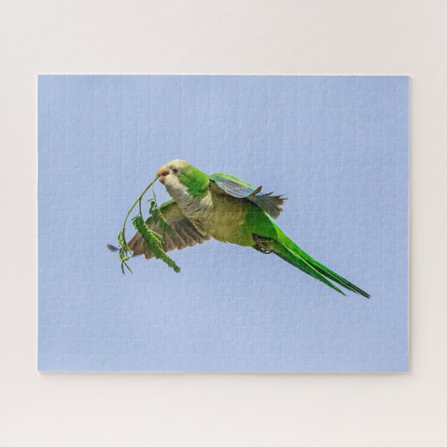 Monk Parakeet im Rio Grande Tal Puzzle (Horizontal)
