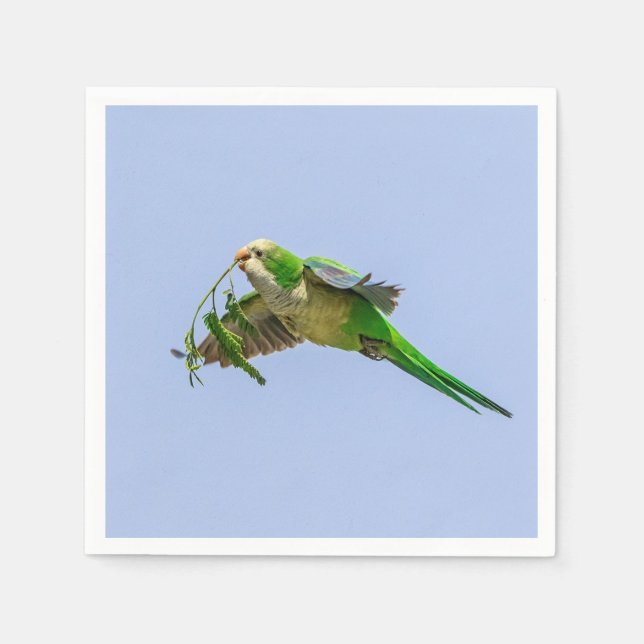 Monk Parakeet im Rio Grande Tal Serviette (Vorderseite)