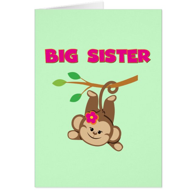 Monkey Big Sister (Vorne)