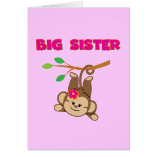 Monkey Big Sister