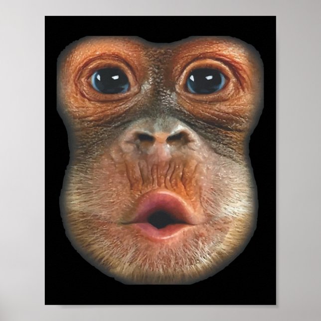 Monkey Blowing Stomach Face  Poster (Vorne)