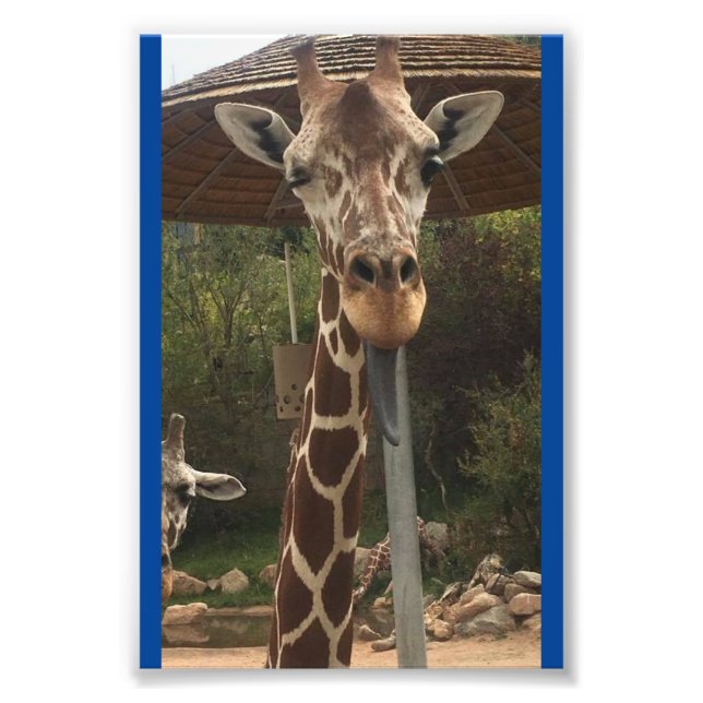 Monkey boy 4X6 Print #2 Fotodruck (Vorne)