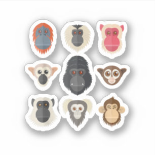 Monkey Chimpanzee Gorilla Spider Affen Eichhörnche Aufkleber