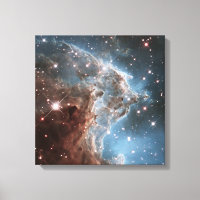 Monkey Head Nebula