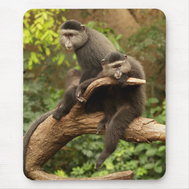 Monkey Mousepad (Vorne)