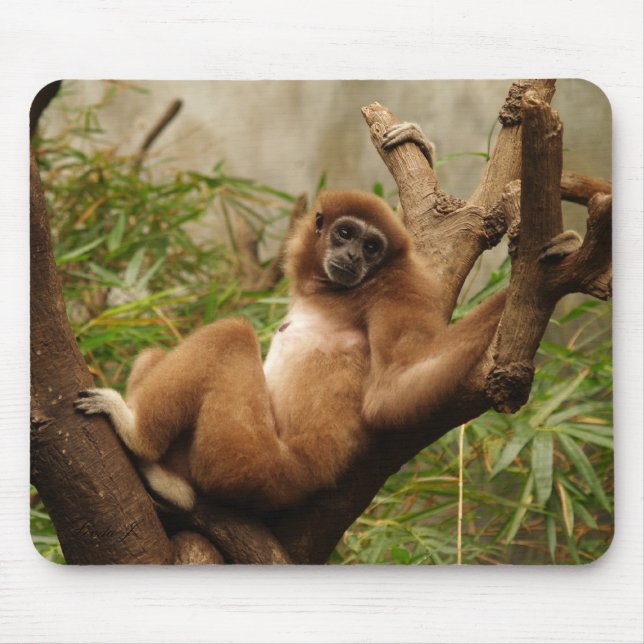 Monkey Mousepad (Vorne)