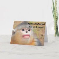 Monkey Plastic Operation Spaß Funny Greise
