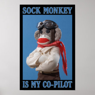 Monkey-Poster des Co-Piloten Poster