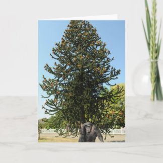 Monkey Puzzle & Puzzled Gorilla. Karte