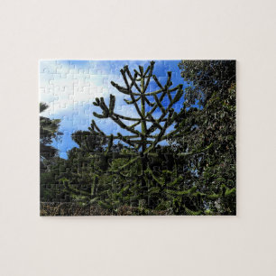 Monkey Puzzle Tree #1 Jigsaw Puzzle