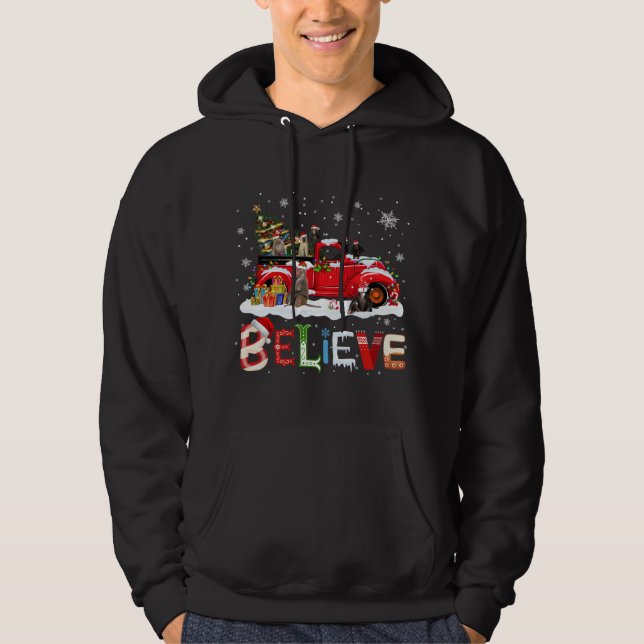 Monkey Riding Red Truck Weihnachtsbaum glauben San Hoodie (Vorderseite)
